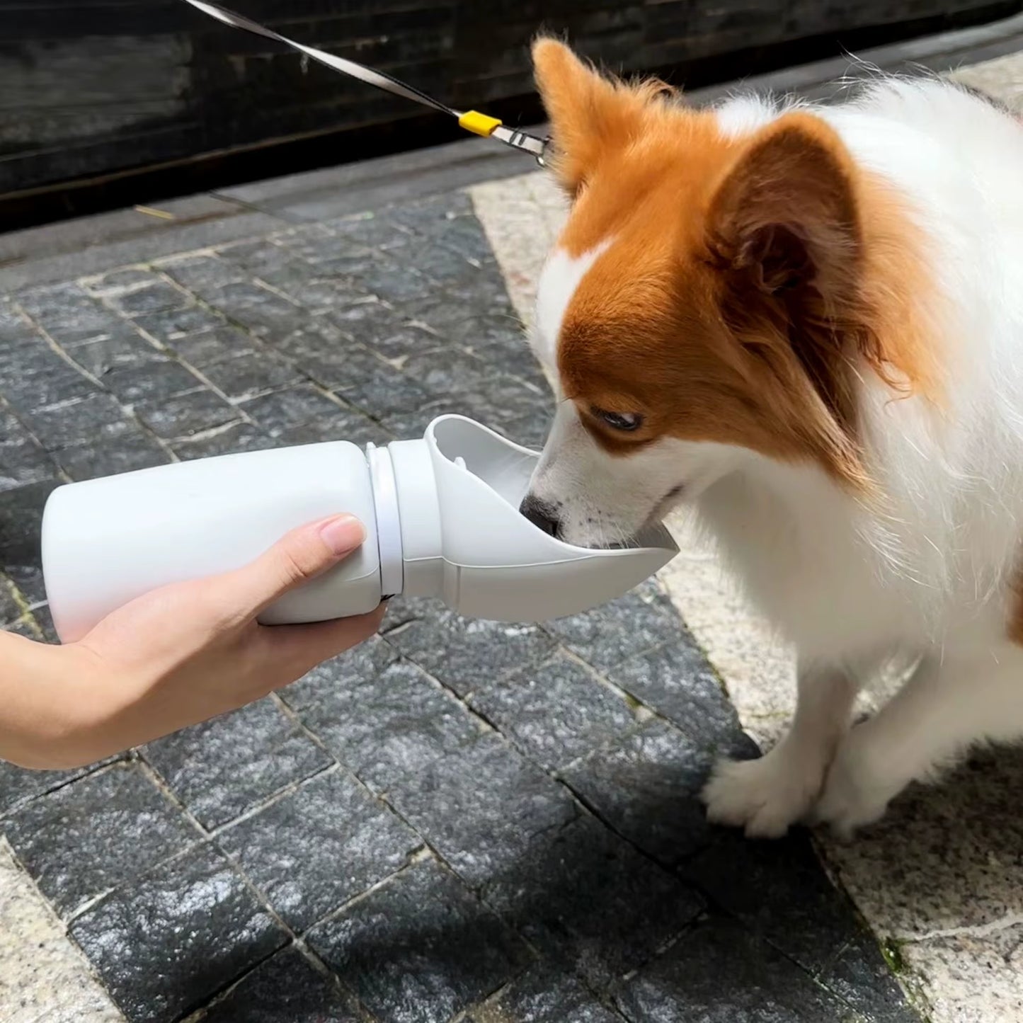 New Portable Foldable Silicone Automatic Dog Water Bottle & Pet Bowls Quadrate Shape for Food and Water Wholesale